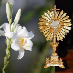 medjugorje
